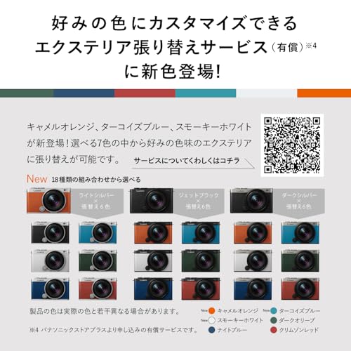 Panasonic LUMIX DC-S9M-N Full-Frame Mirrorless Camera Kit Wide-Angle Zoom Lens Titanium Gold