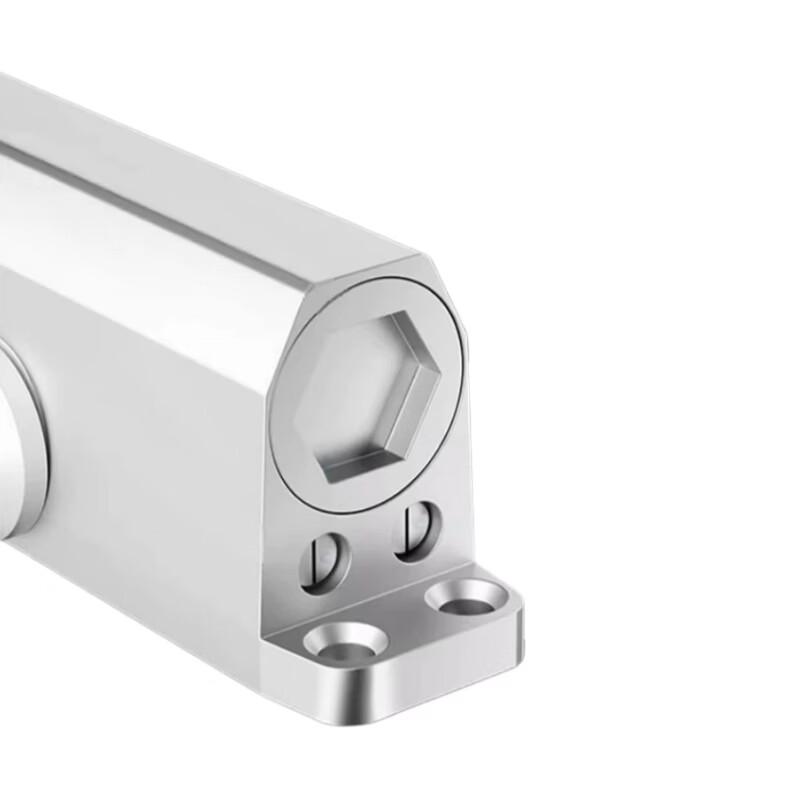 Pinxie Hydraulic Automatic Door Closer