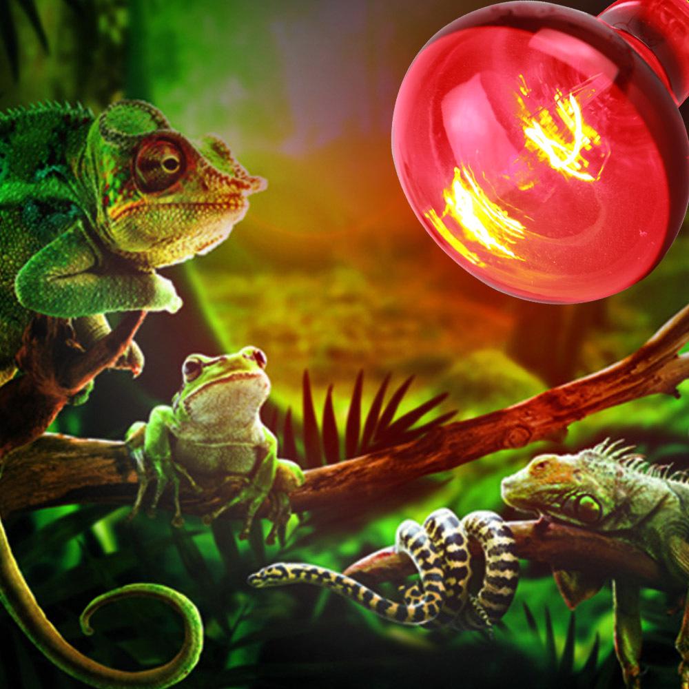 Infrared Neodymium Heating Bulb: 30W/40W/60W/100W/150W, Black, R63/R80/R95