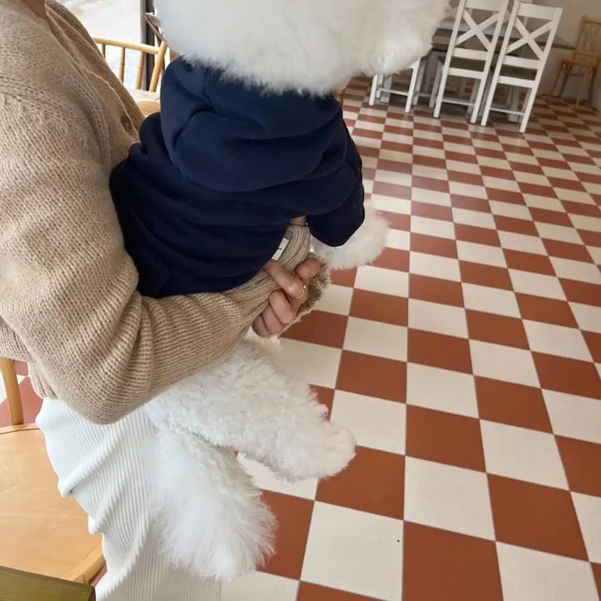 Warm Winter Pet Hoodie Versatile Plush Hoodie Teddy Bear Schnauzer Coat Pet Cat Small Dog Clothes for Small Dogs Puppy Clothing