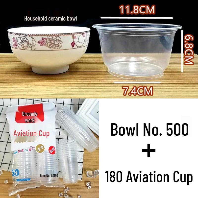 ZISIZ Disposable Dinnerware Set