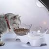Pet Cat Dog Inclined Mouth Double Drinking Water Protecting Cervical Vertebra Bowl