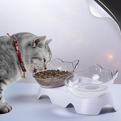 Pet Cat Dog Bocca inclinata Doppia ciotola per acqua potabile che protegge la vertebra cervicale