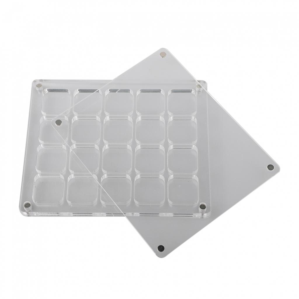 Transparent Mini Shell Storage Solution in Acrylic Material
