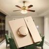 Variable Fan Speed Control with Switch for Most Brand Electric Ceiling Fan