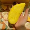 Lifelike Durian Squeeze Toy Slow Rebound Toy Stress Relief Toys Food-Themed Decompression Gadget for Kids Adults