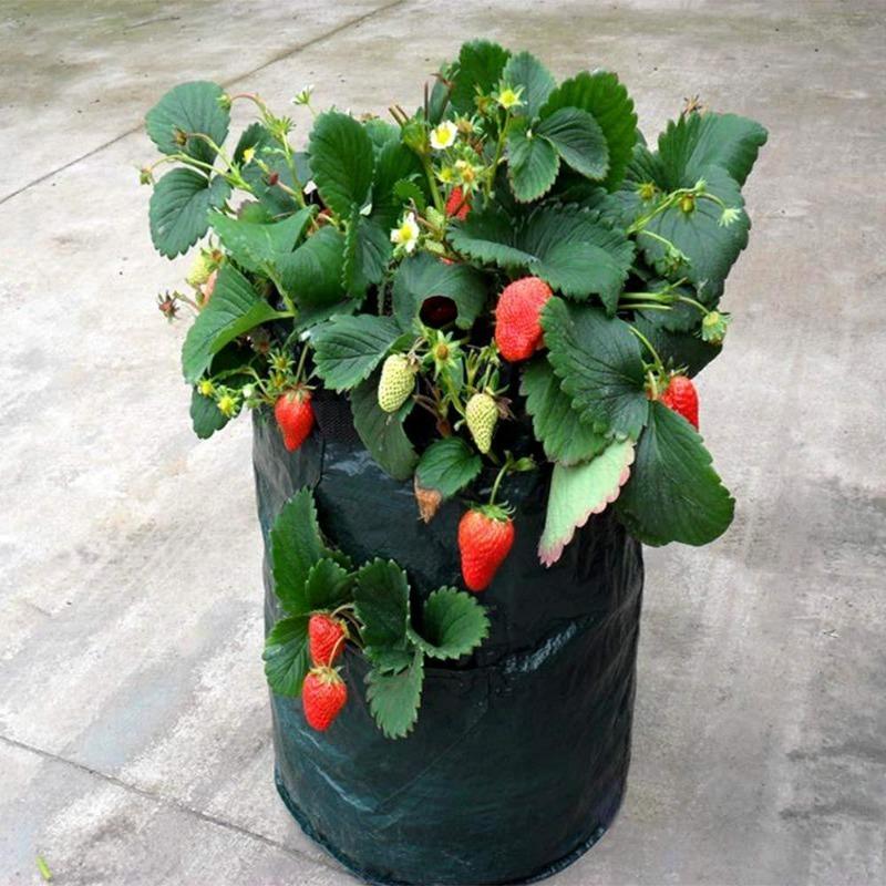 5/7/10 Gallon PE Strawberry Planter Grow Bags Potato Pot Gardening Pots Home Jardin Flower Veg Tomato Planting Tools Container