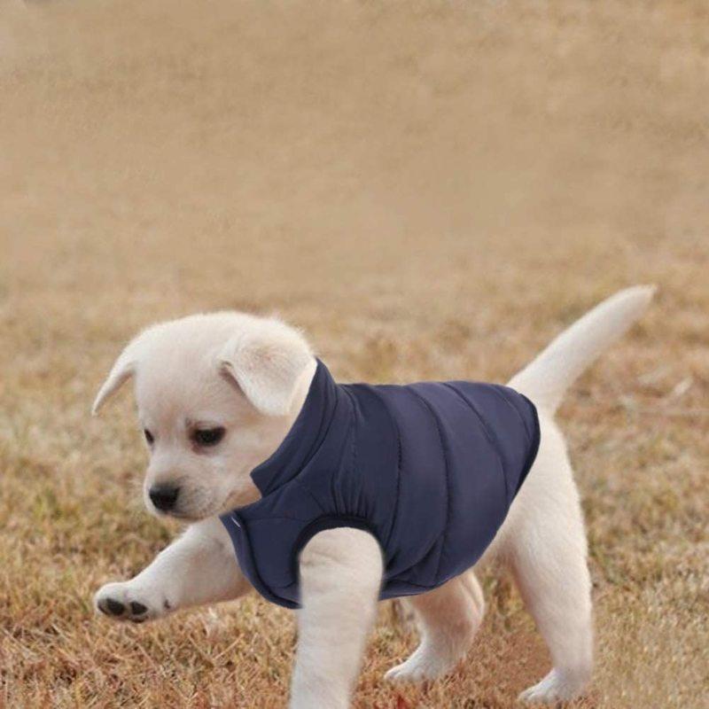 dog winter apparel
