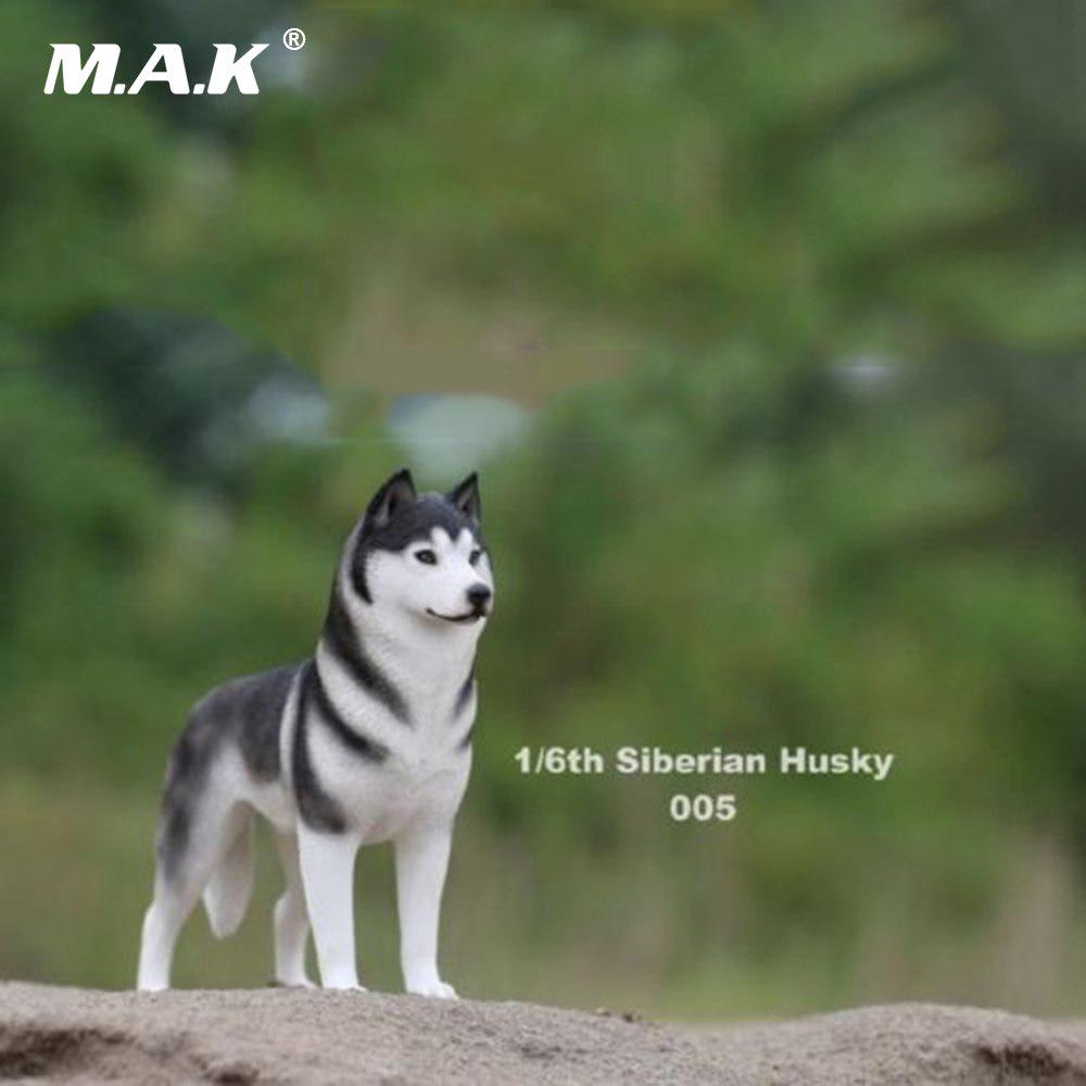 husky figure
