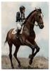 Poster Rider Horse Paintings