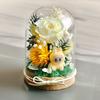 DIY Preserved Flower Material Kit  Rose Preserved Flower Decorative Handcrafted Gift
