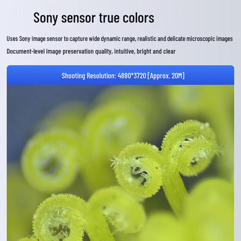 AOSVI T1-3M180 Digital Stereoscopic Microscope