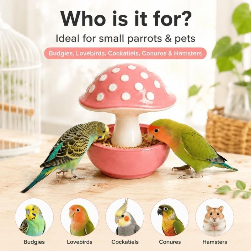 Garden Display Bird Bowl for Pet Birds, Molded Mushroom Dish with Open Bowl, Center Stem, Home Use, and Daily Use