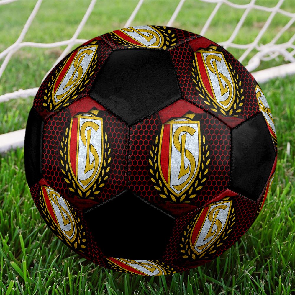 SIZE 5 Standard Liège Soccer Ball Colorful All Ages Machine Stitched PVC Competition Ready Durable High-Bounce