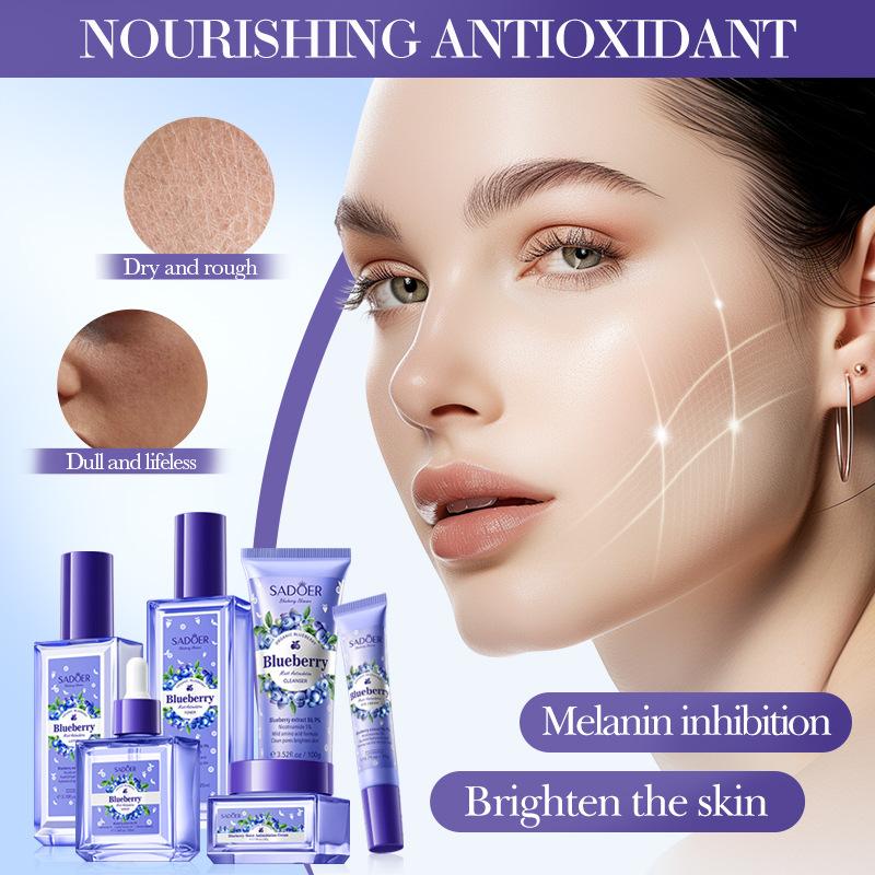 Luxury Blueberry Hyaluronic Acid Essence Moisturizing 6-piece Anti-Wrinkle Repair Whitening Freckle Removing Skin Care Set
