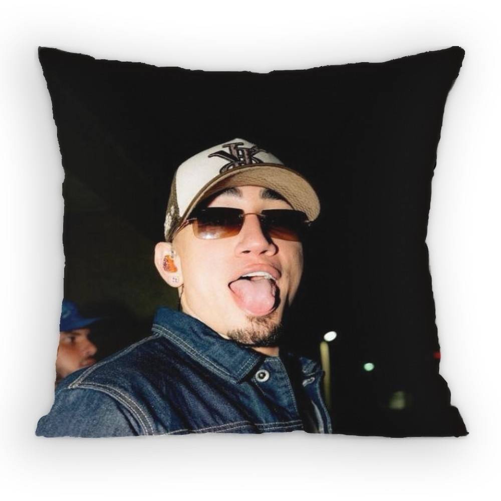 

OOmar CCourtz Singer Pillow Case Antidustmite Pillowcase Invisible zipper silky short plush Sofa cushion cover 30x30 cm