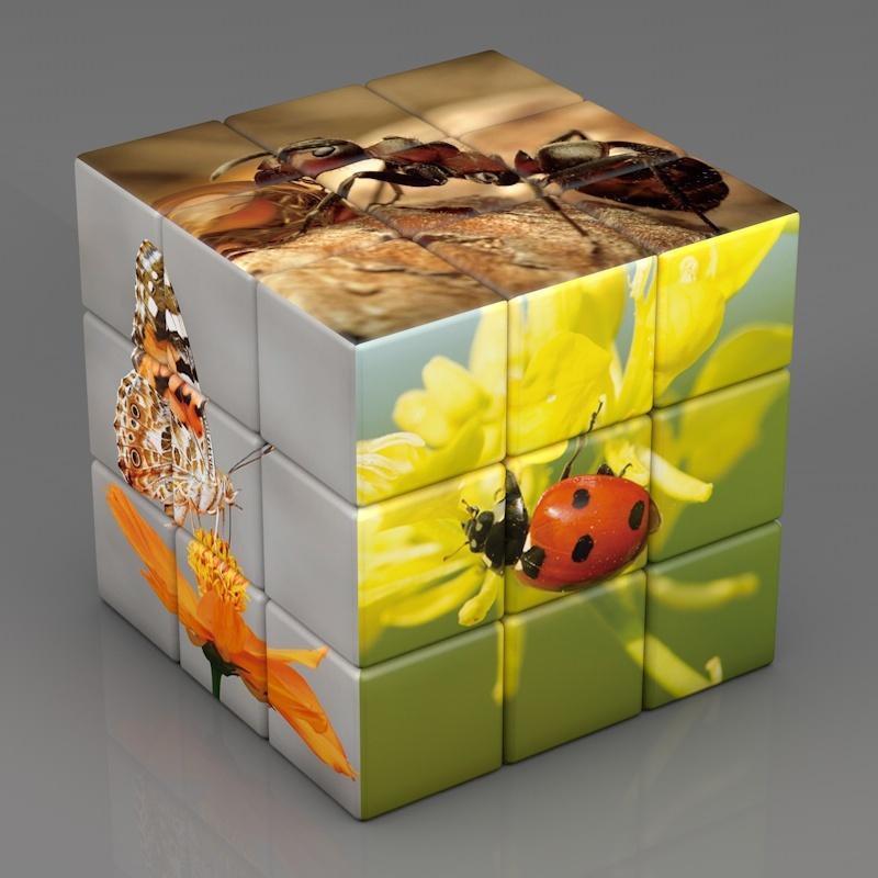 3D 3x3x3 Speed Cube Braille Vingerafdruk Voor Dier Cubes Hoge Kwaliteit Rotatie Magische Kubussen Educatieve Spellen Voor Kinderen