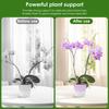 30 Pezzi Stecche Trasparenti per Orchidee Stecche da Piantagione in Acrilico con 30 Clip 45cm e 40cm Stecca di Supporto per Piantagione per Fiori in Vaso Verdure