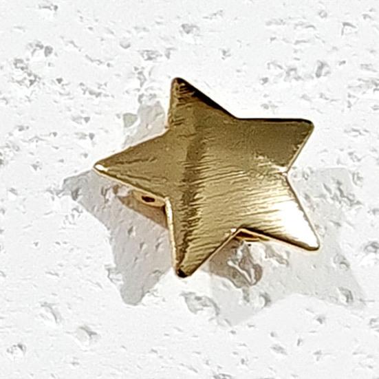 1 Pair Hairpins Five-Pointed Star Shape Hair Clips Metal Texture Side Bang Hair Pins Fade-Resistant Hair Accessory