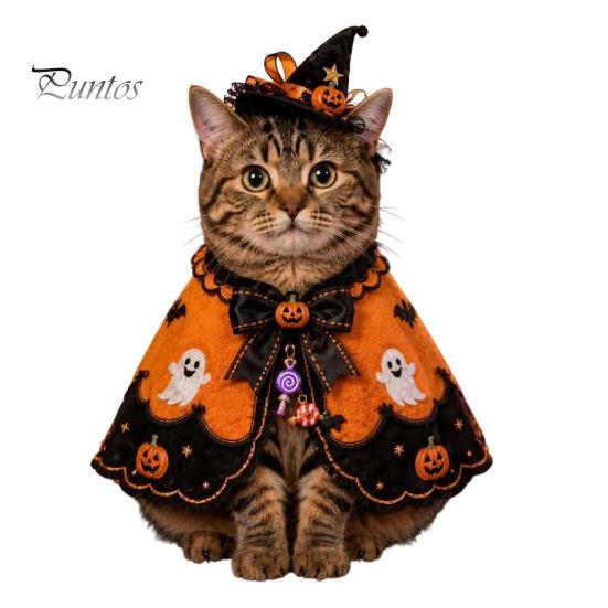 Cat Witch Hat Set Halloween Costume, Cute Ghost Cloak, Funny Pet Costume for Small Pets Festival Outfit, Kitty Cosplay Cape Holiday Party Accessories