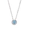S925 Sterling Silver Natural Topaz December Birthstone Necklace, Simple Versatile Clavicle Chain