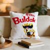 Kwaii Anime BBuldak RameSn Cushion Cover Short Plush Pillowcase for Bed Sofa Carwashable