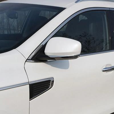 For Renault Koleos 2017 2018 for Samsung QM6 2017 2018 Rearview Mirror Cover Side Mirror Trim Decoration Sticker Accessories