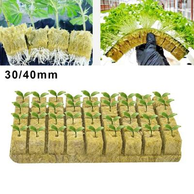 50 bucăți Grow Starter Cubes Plug Hydroponic Grow Media Cloning