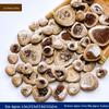 Handmade Ceramic Mosaic Art Kit: Blue & White Porcelain Pieces for Creative Parent-Child Projects