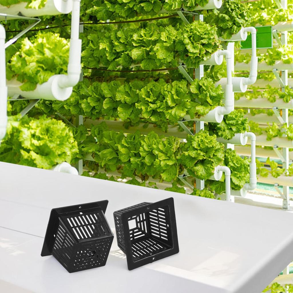 10 Pack of Plastic Net Pots for Efficient Aeration In Aquaponic Gardening