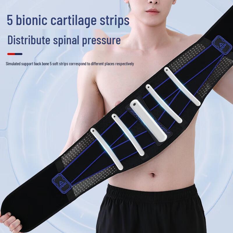 PEAK Sports Lumbar Support