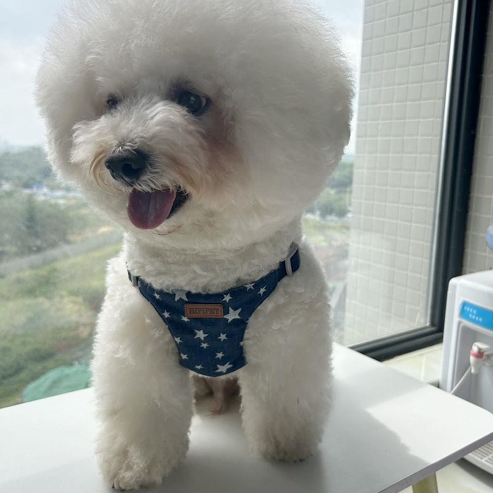 Hundegeschirr-Set mit 2M Leine Denim-Geschirr Verstellbarer Gurt für kleine und mittlere Hunde Katzen Hundezubehör Outdoor für Bichon Frisé