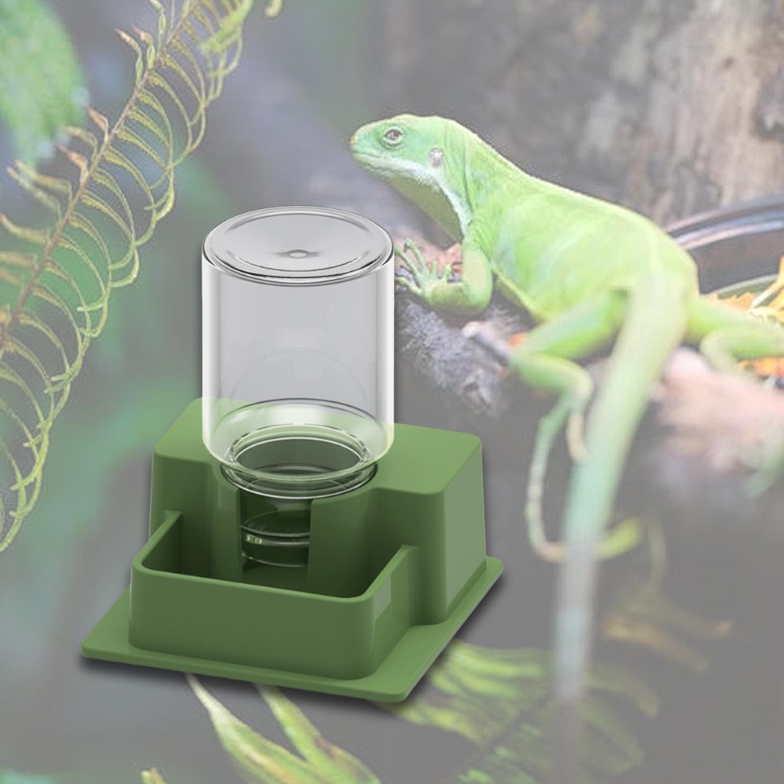 Pet Reptile Water Bowl Automatic Turtle Feeder for Lizard Chameleon Snake Tank Habitat Accessories