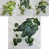 Artificial Silk Caladium Leaf Wall Hanging Vine Plant For Home Decor Wedding Props