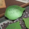 Free Shipping: Cute Leaf Sticky Notes - Creative Memo Strips and Notepads