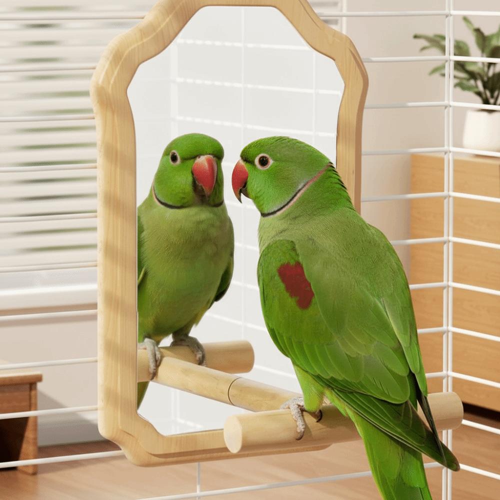 Wear-Resisting Parrot Mirror Toy Detachable Interactive Bird Toy Bird Mirror Perch  Playing