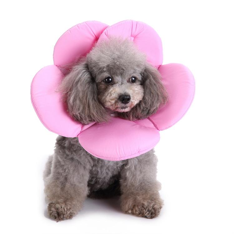 Potřeby pro domácí mazlíčky Ochranný obojek Ochranný obojek pro psy Ochranný obojek Květina Ochranný obojek Pet Beauty Medical Cover