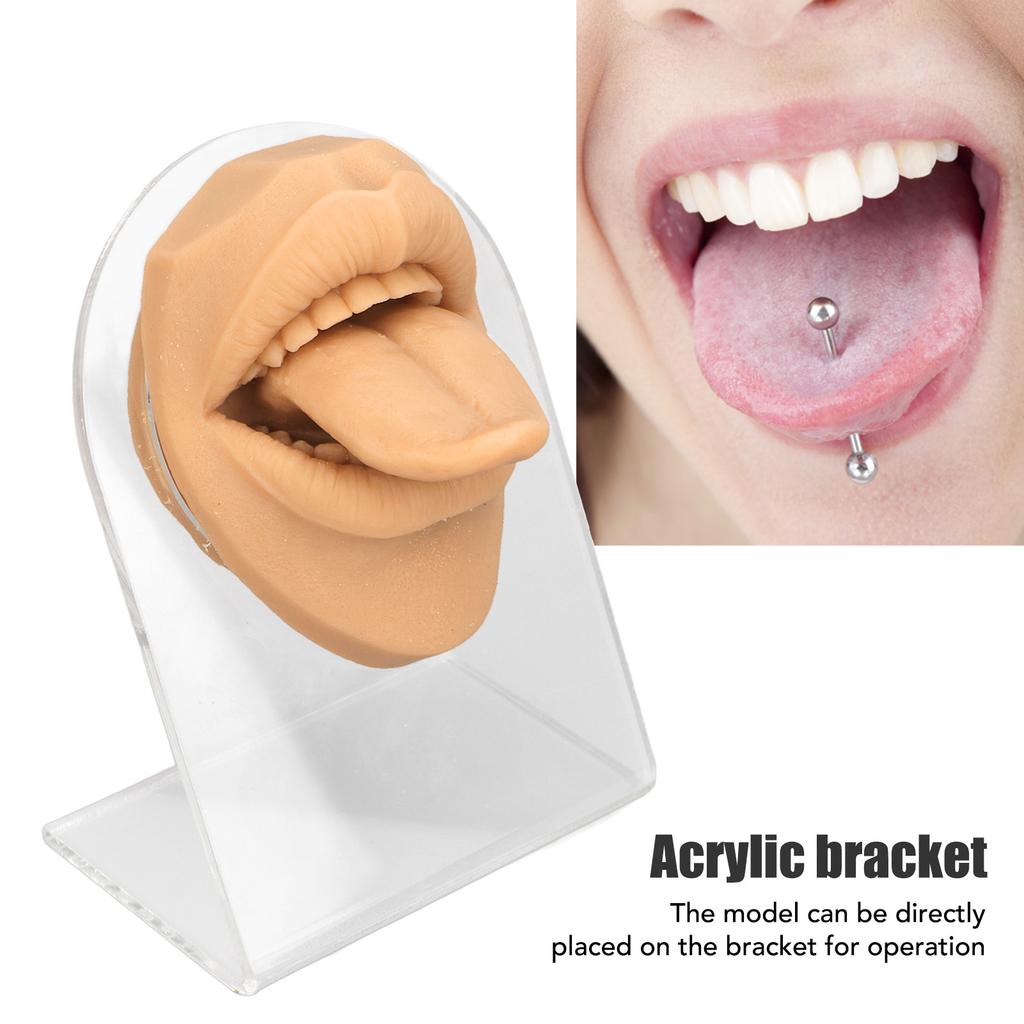 Modelo de lengua humana, silicona suave, soporte acrílico realista, modelo de boca para exhibición de joyería