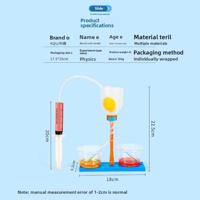 Science Experiment Diy Kidney Unit Model Educational Toy For Kids Classroom Learning