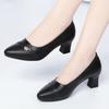High Heels, Single Shoes, Women's Small Leather Shoes, Spring Women's Shoes, Mid-heel Versatile and Elegant Shallow-mouth Single Shoes