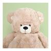 Fuji Boeki Bear Stuffed Animal First Toy Body Pillow Height 50cm Teddy Bear Cushion Present Baby Fluffy Beige 19553