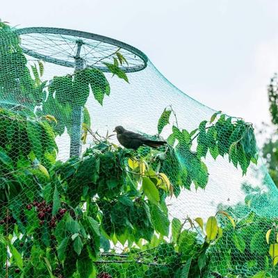 Green Garden Net Protects Plants with Durable Fruits Vegetables Flowers Protection Nets From Birds Poultry Deer and Animals Garden Plant Climbing