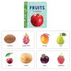 Pegasus My First Library BoxSet Of Preschool Board Books (Alphabet, Fruits & Vegetables, Numbers, Animals & Birds, , First Words, Etc) (My