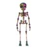 5Pcs 3D Printed Skeleton Refrigerator Magnet Poseable Skeleton Figurine with Movable Joints Halloween Gothic Skeleton Fridge Magnetic Decoration