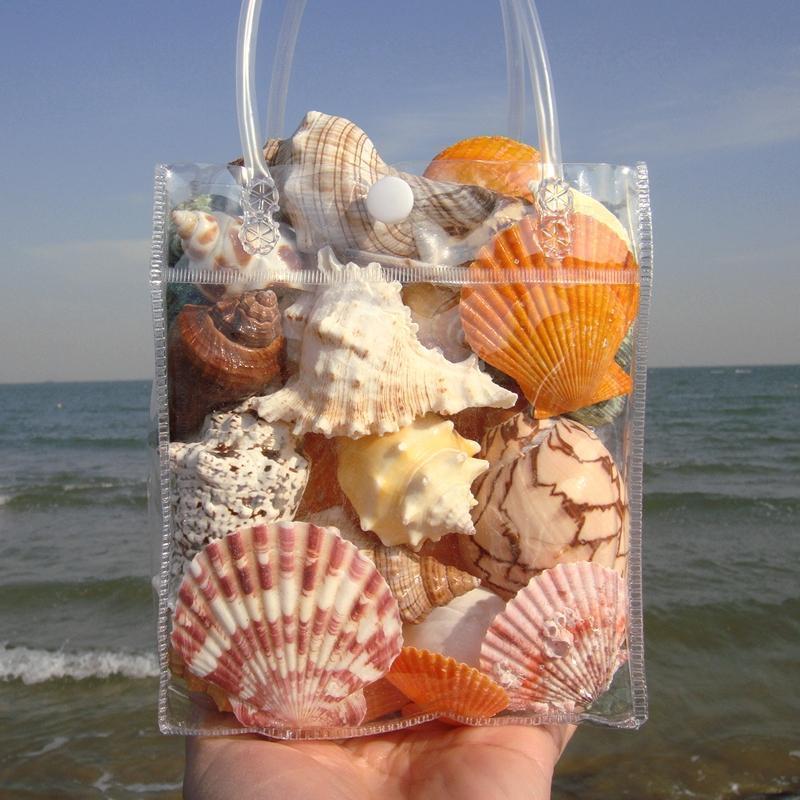 

Натуральные ракушки и морские звезды для аквариума - Образовательный и веселый подарок для детей