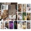 Phone Case For Samsung A55 A16 A56 A36 A35 A15 A53 A54 A33 A34 A25 A05S A52 A52S A14 A26 A71 Cute Cat