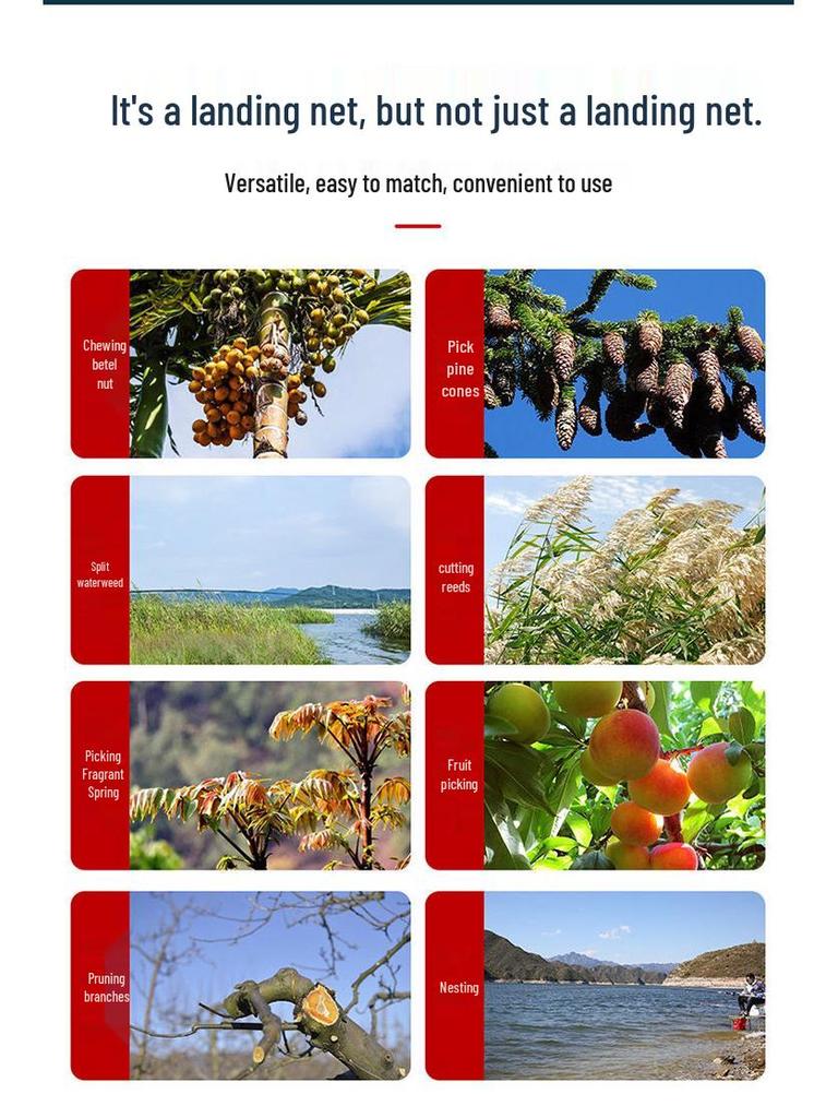 Pine Nut & Betel Nut Telescopic Rod - High Carbon Fiber, Super Hard Design for Hornet Nest Removal & Walnut Cracking
