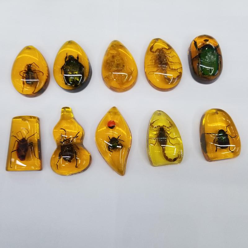 

Случайный набор из 10 штук детских настоящих образцов насекомых, смола, янтарь, насекомые, каменная подвеска, ожерелье, драгоценный камень для друга, семьи 10pcs