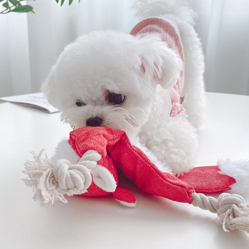 No Stuffed Squeaky Pet Toys for Small Medium Dogs Animals Shape with Knot Puppy Dog Chew Toy Chihuahua Pug juguetes para perro