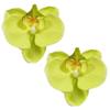 2pcs Korean Style Artificial Butterfly Orchid Decoration Flowers Orchids  Car Home Decoration